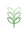 HMA Therapi | Jay Chung, LAc., CHom., PhD